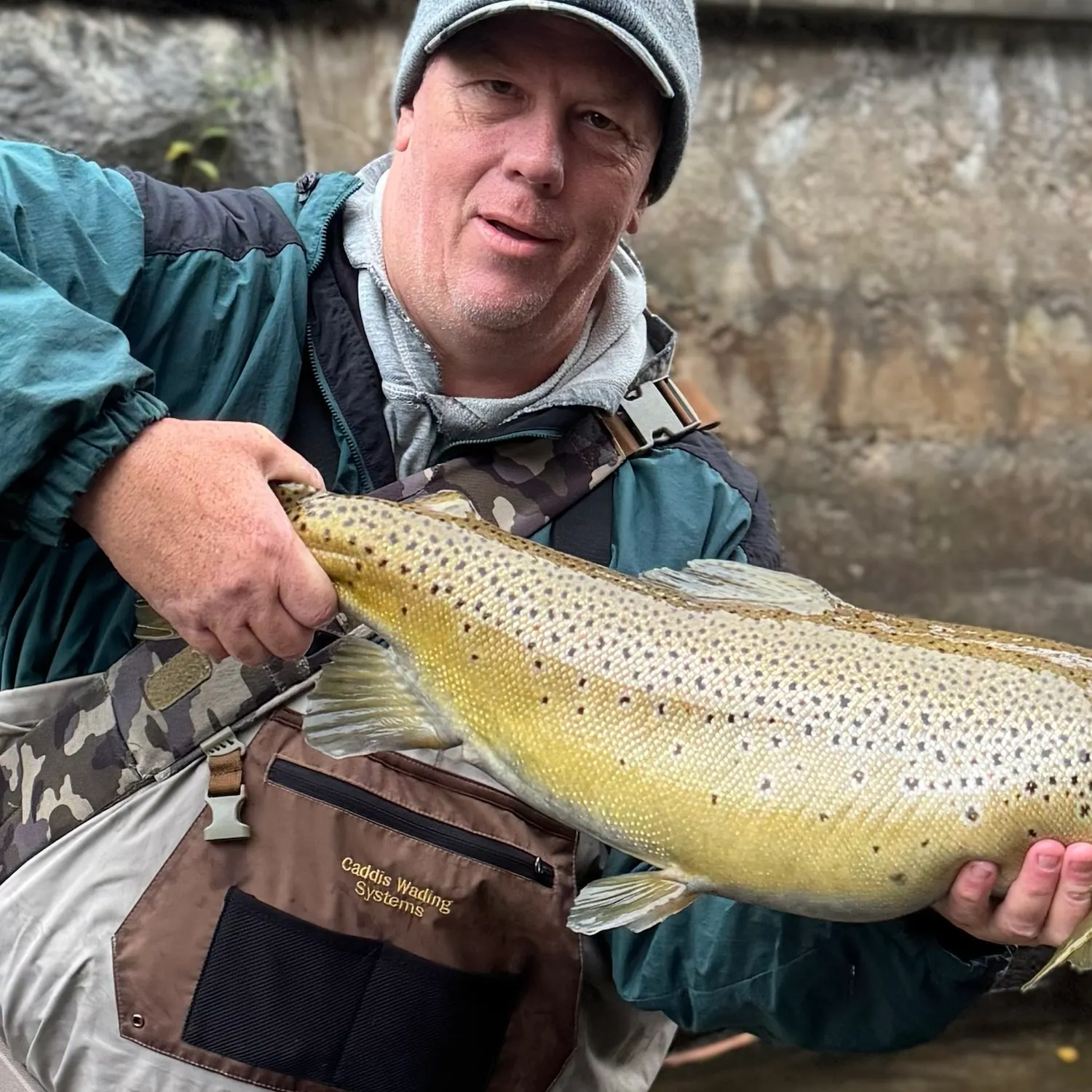 Brown trout caught on Fishbrain