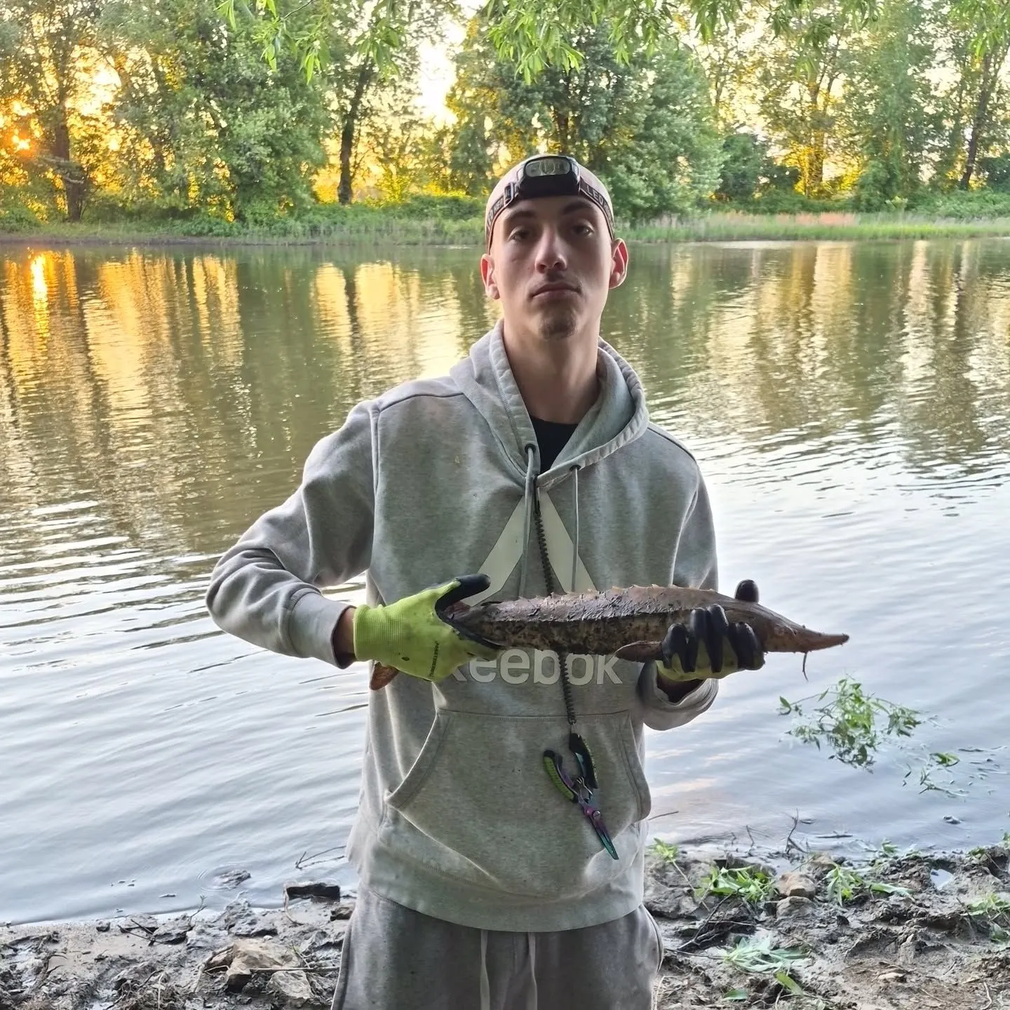 The most recent Lake sturgeon catches on Fishbrain
