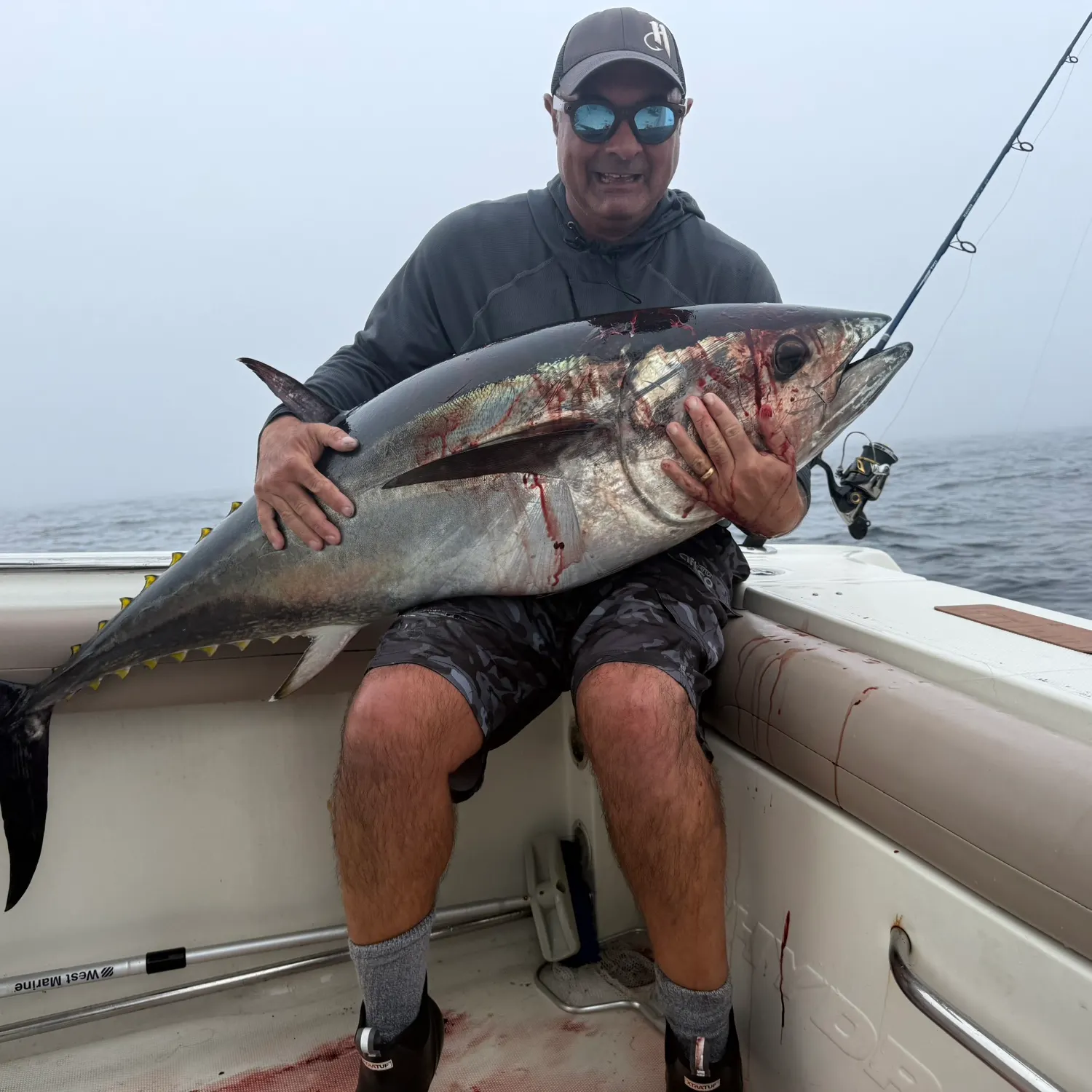 The most recent Atlantic bluefin tuna catches on Fishbrain