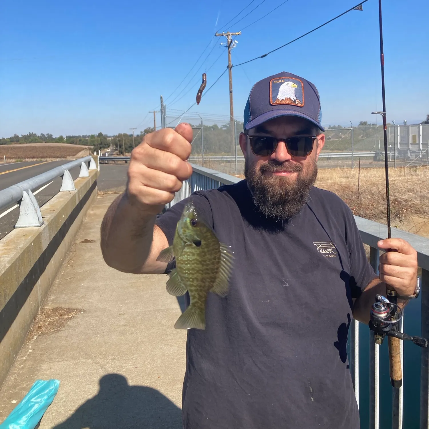 Redear sunfish caught on Fishbrain
