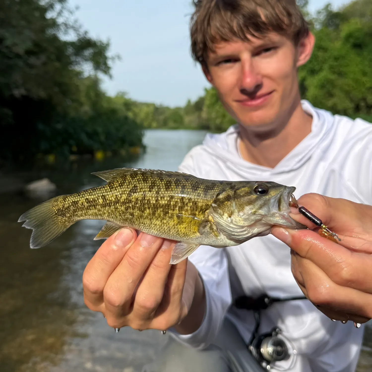 The most recent Guadalupe bass catches on Fishbrain