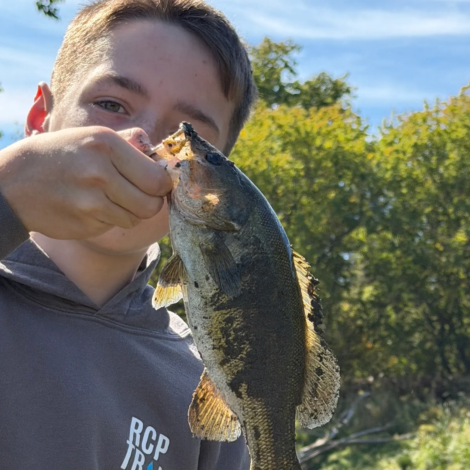Smallmouth bass caught on Fishbrain