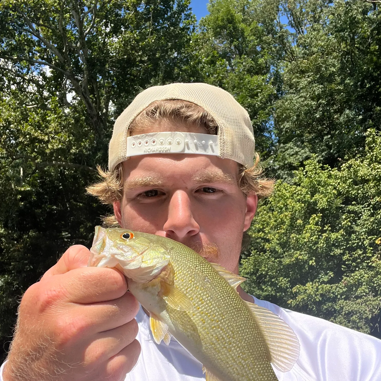 Smallmouth bass caught on Fishbrain