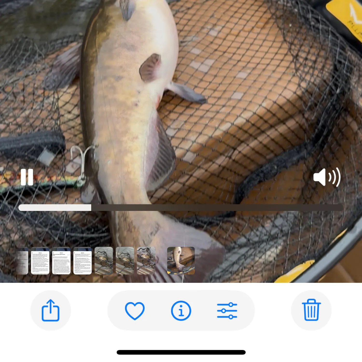 catch