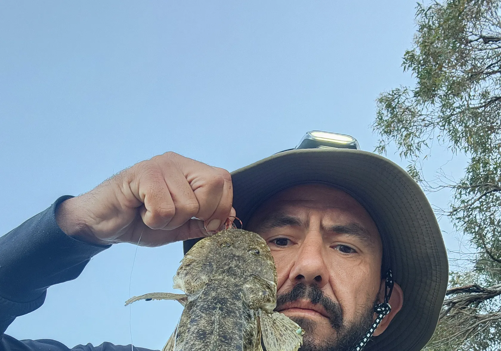 Bartail flathead