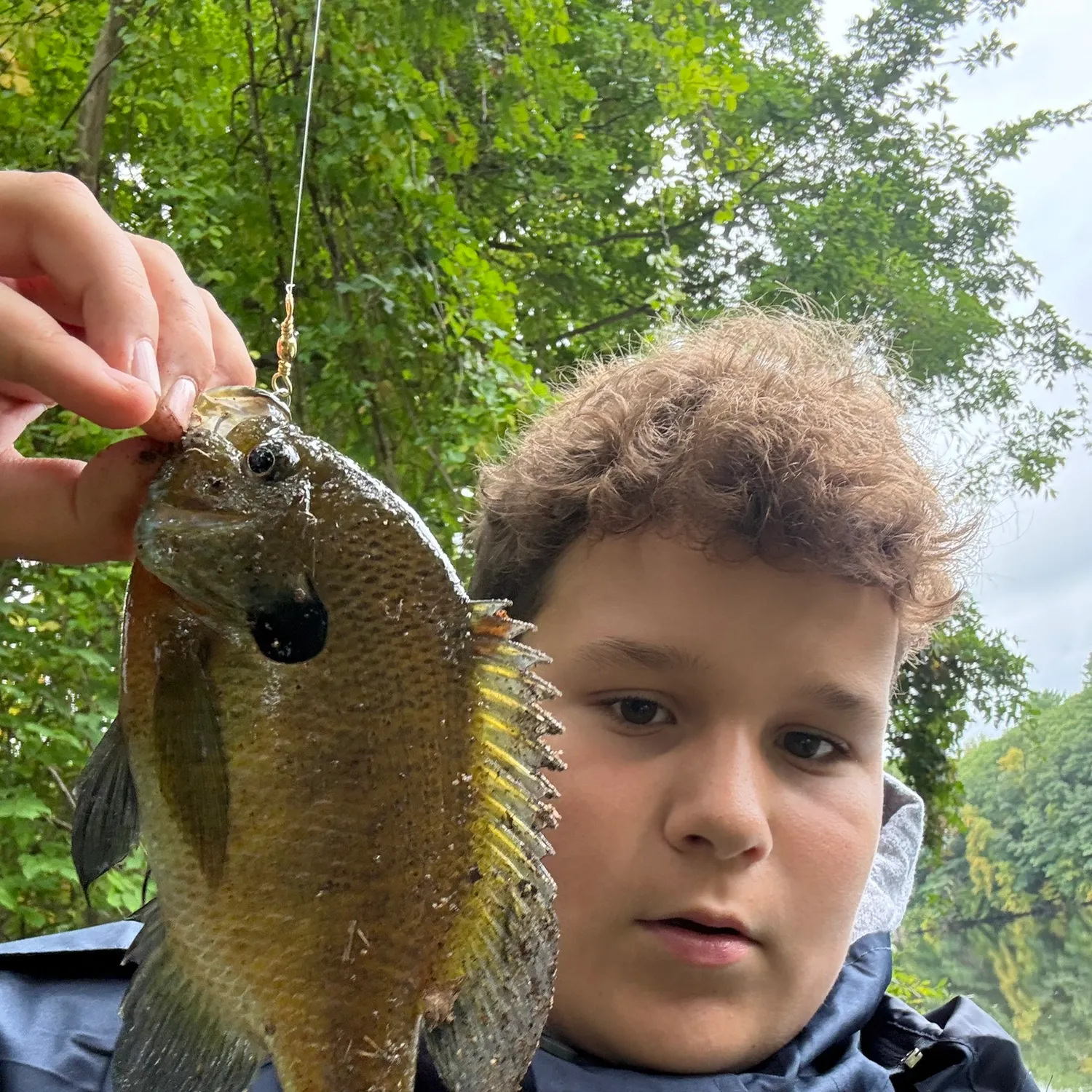 Bluegill caught on Fishbrain