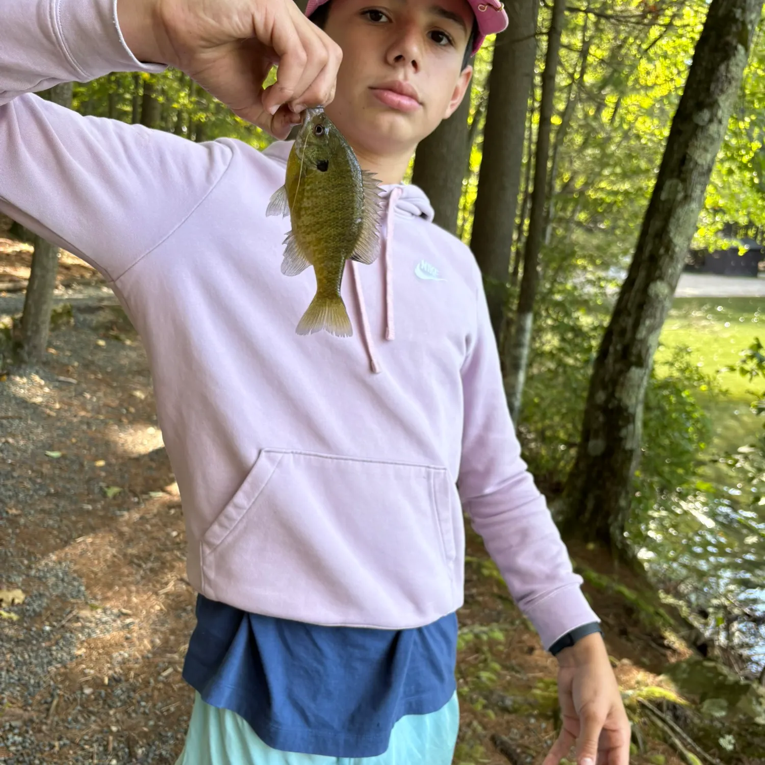 Bluegill caught on Fishbrain