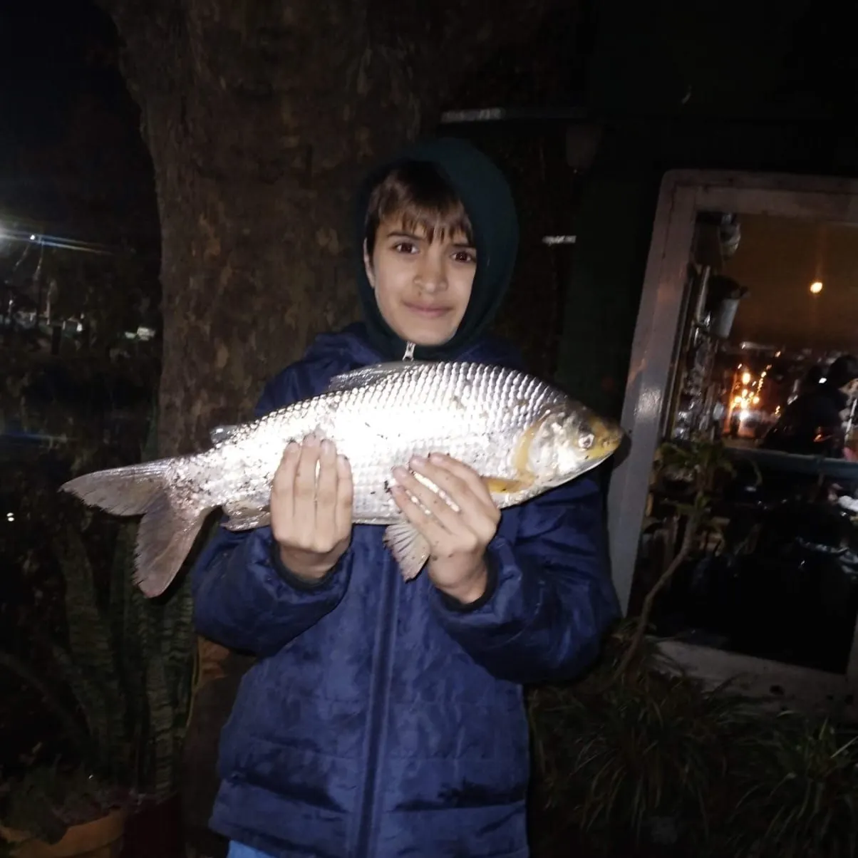 most liked catch image