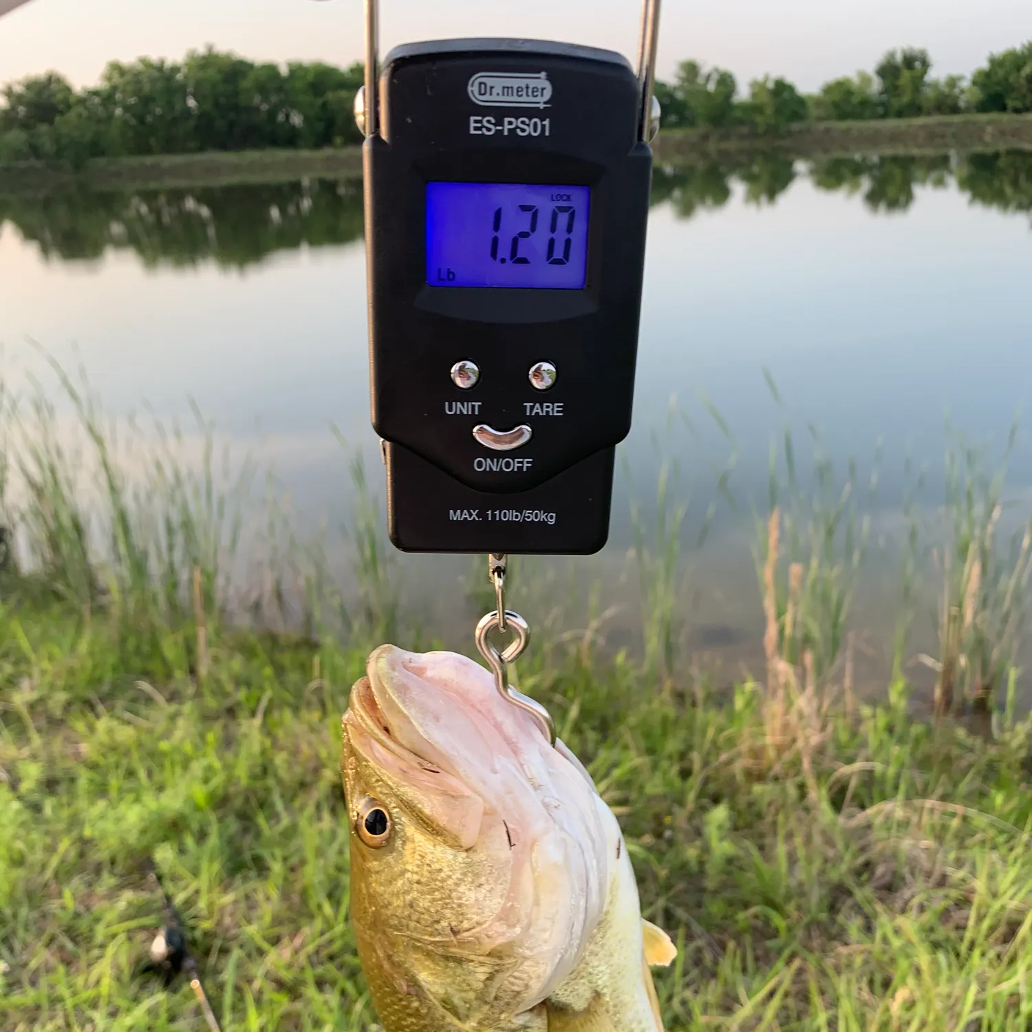 angler catch
