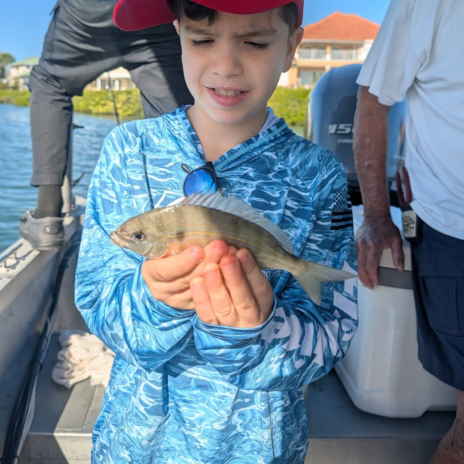 The most recent Pinfish catches on Fishbrain