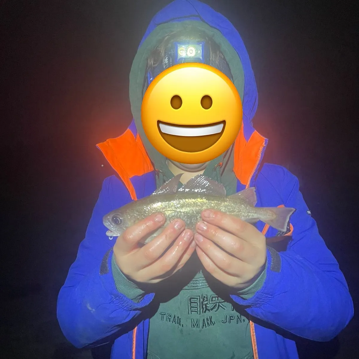 The most recent Pouting catches on Fishbrain