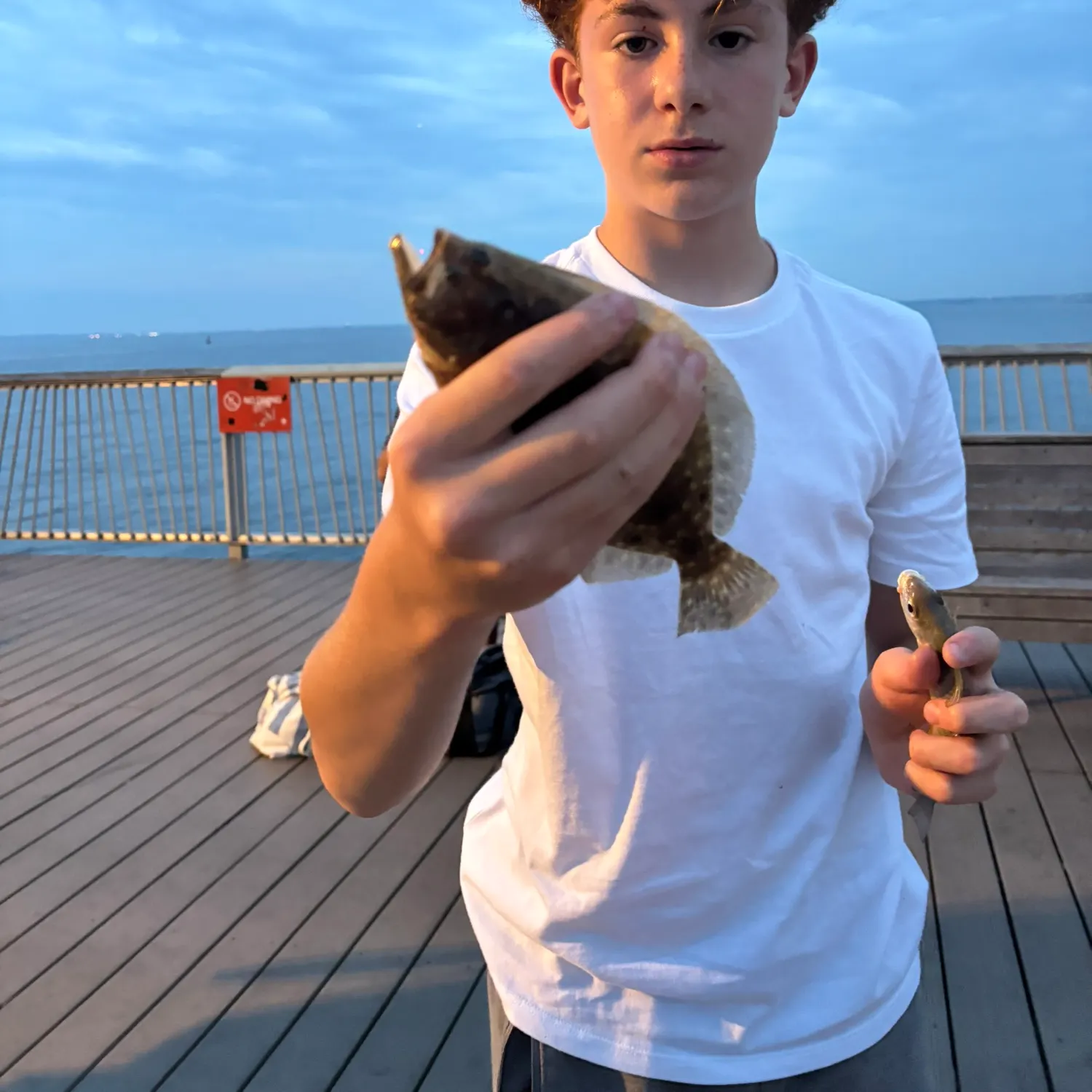 Summer flounder caught on Fishbrain