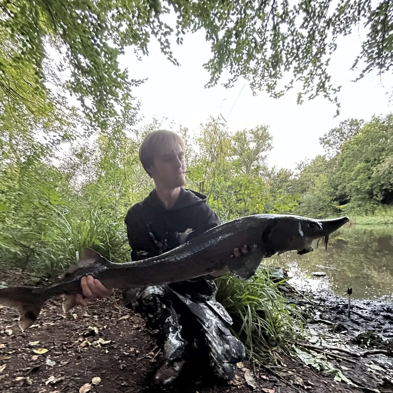 The most recent Sakhalin sturgeon catches on Fishbrain