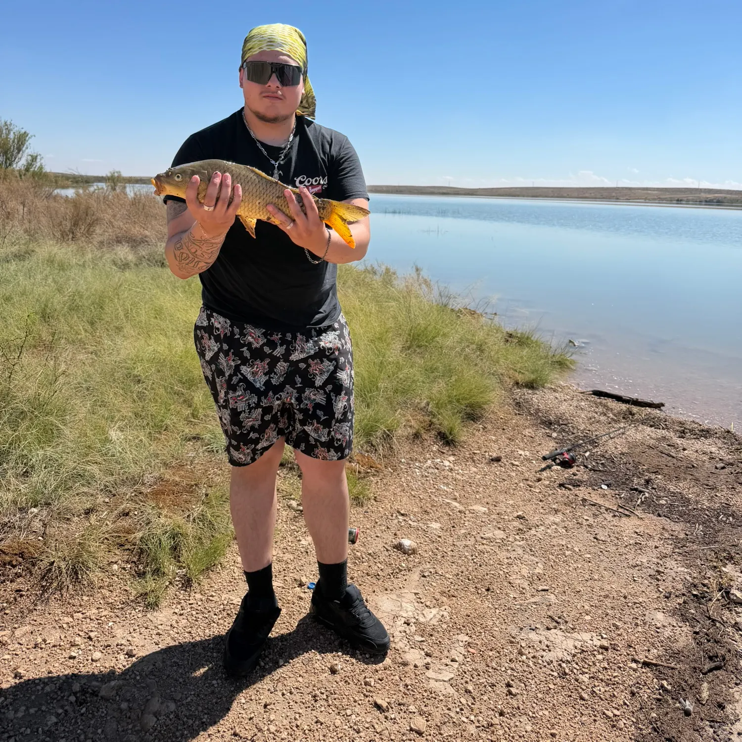 Common carp caught on Fishbrain