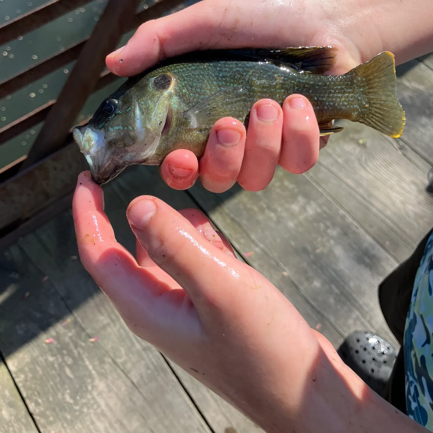 catch