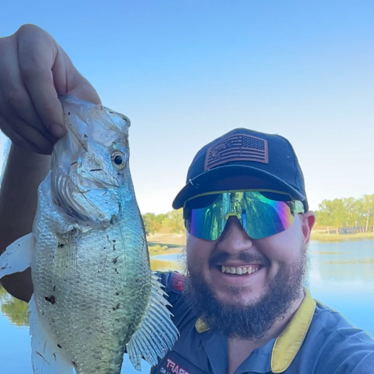 White crappie caught on Fishbrain