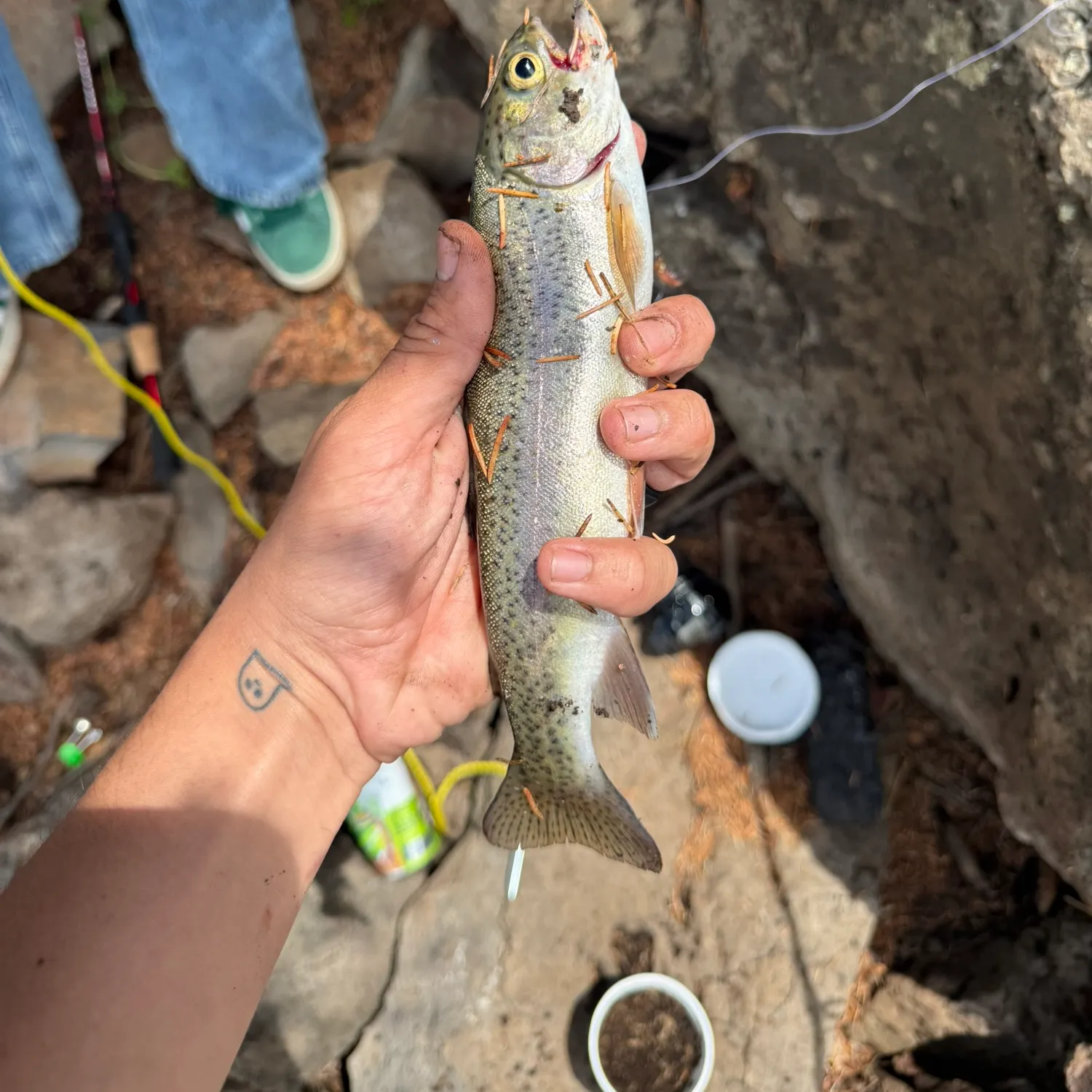 catch