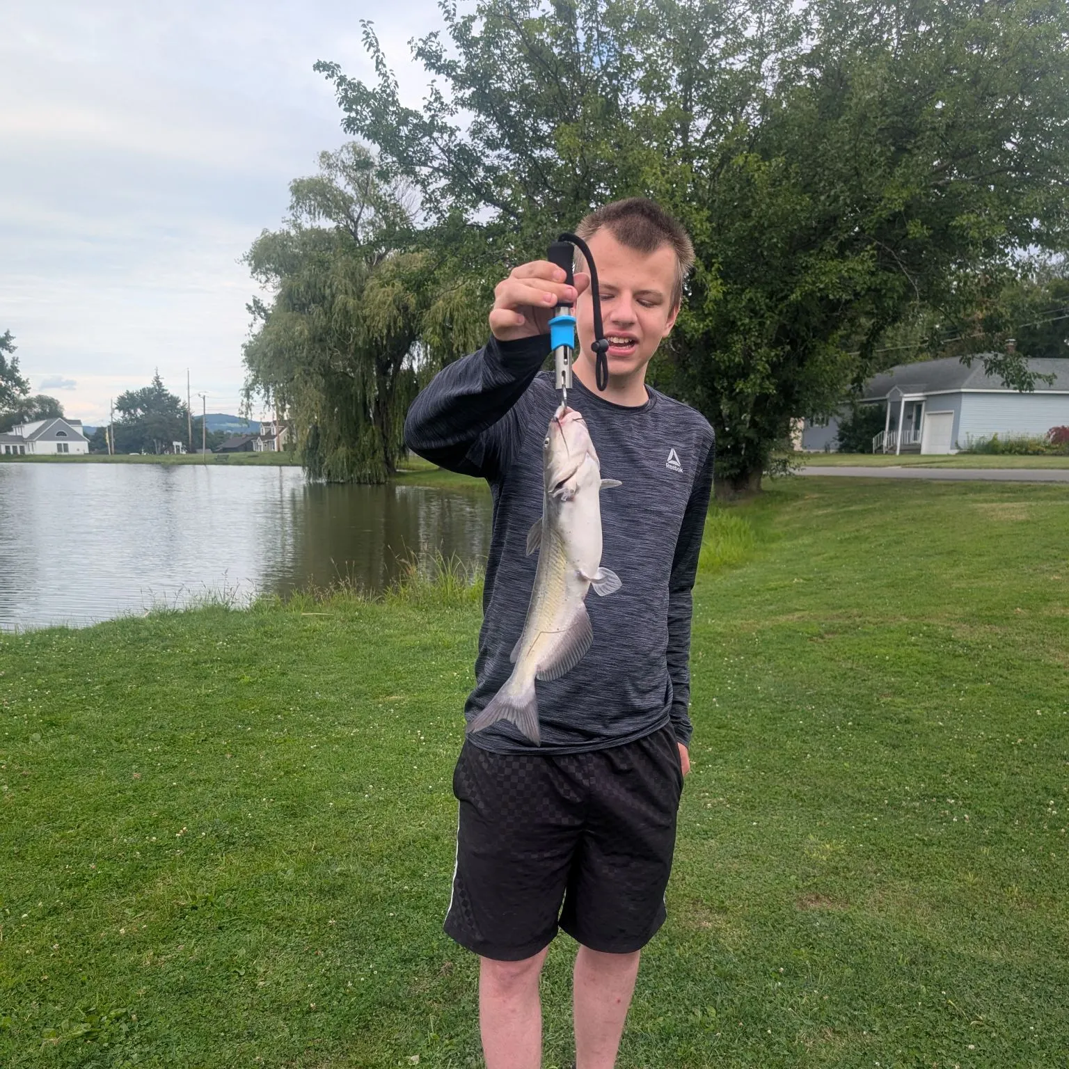 Channel catfish caught on Fishbrain