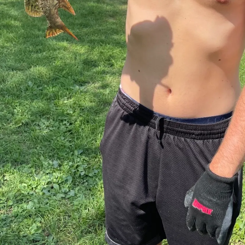 The most recent Northern pike catches on Fishbrain