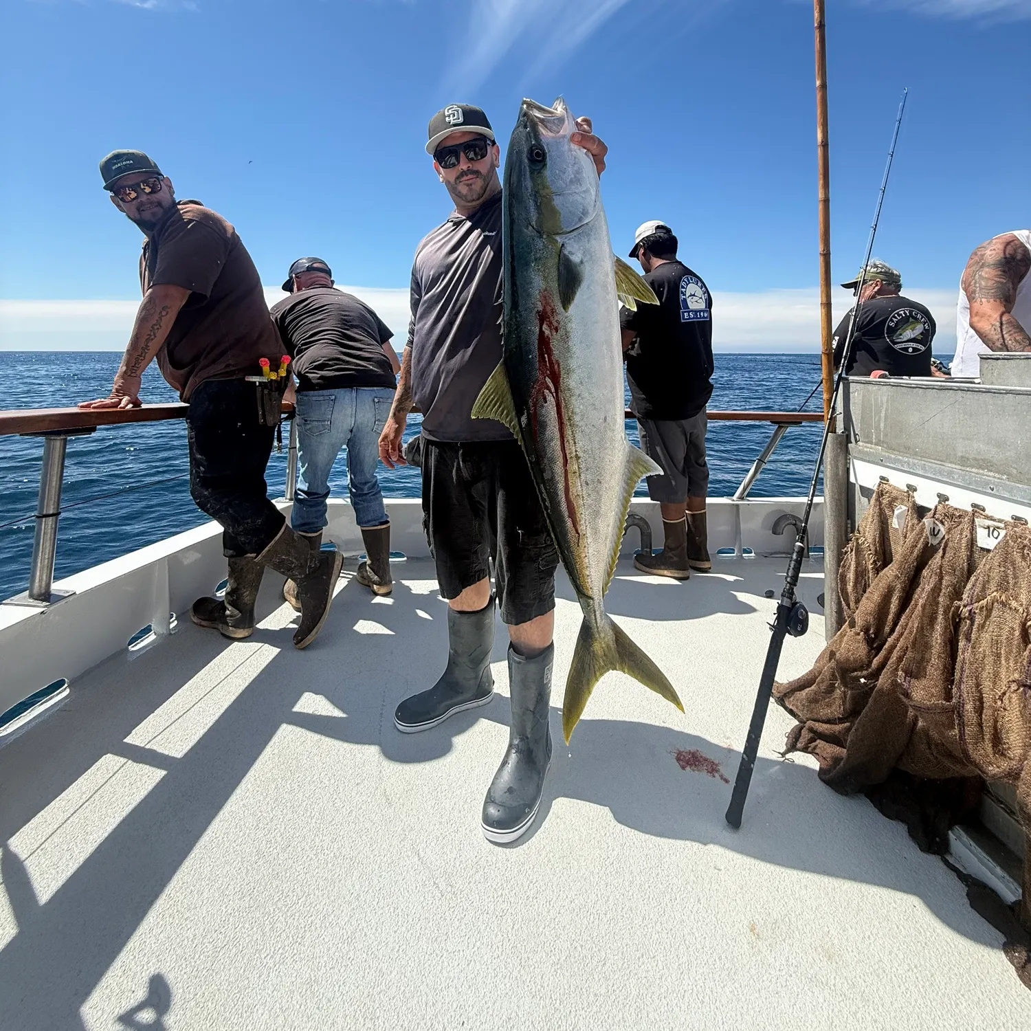 The most recent California yellowtail amberjack catches on Fishbrain