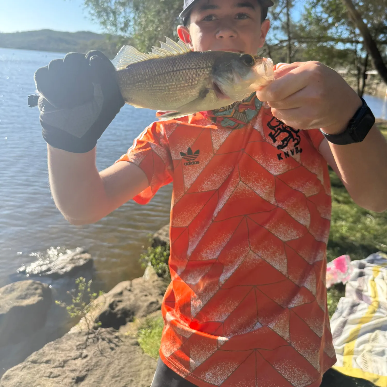 The most recent Australian bass catches on Fishbrain