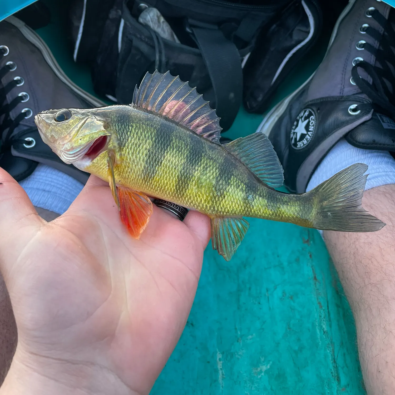 catch