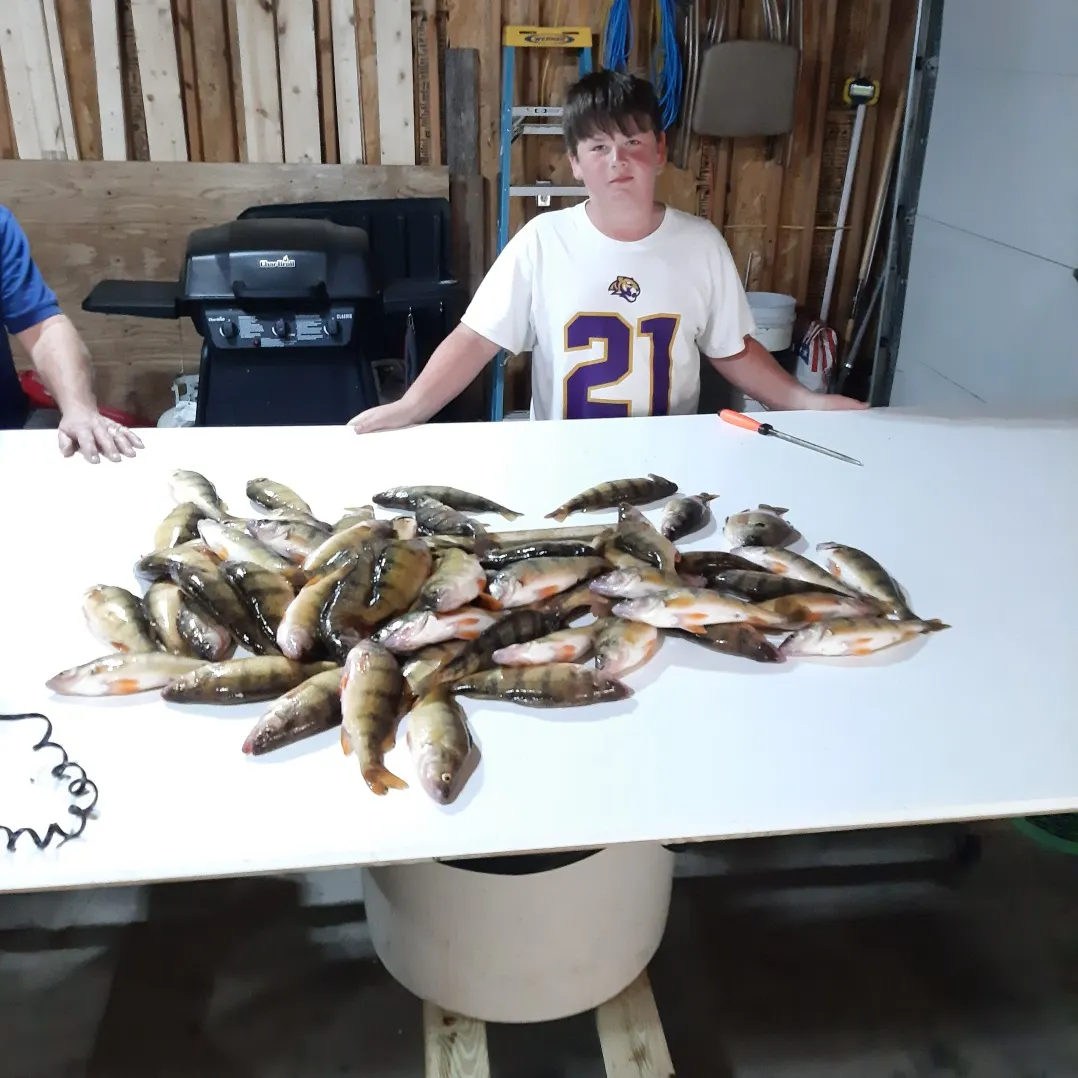 angler catch