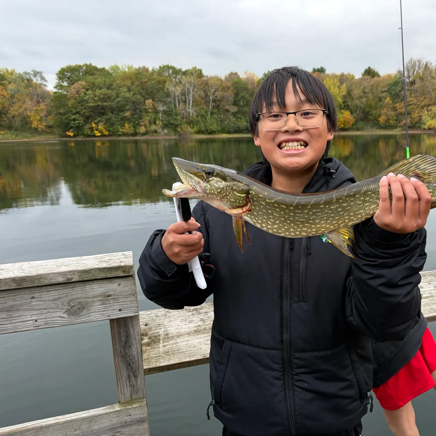 Northern pike caught on Fishbrain