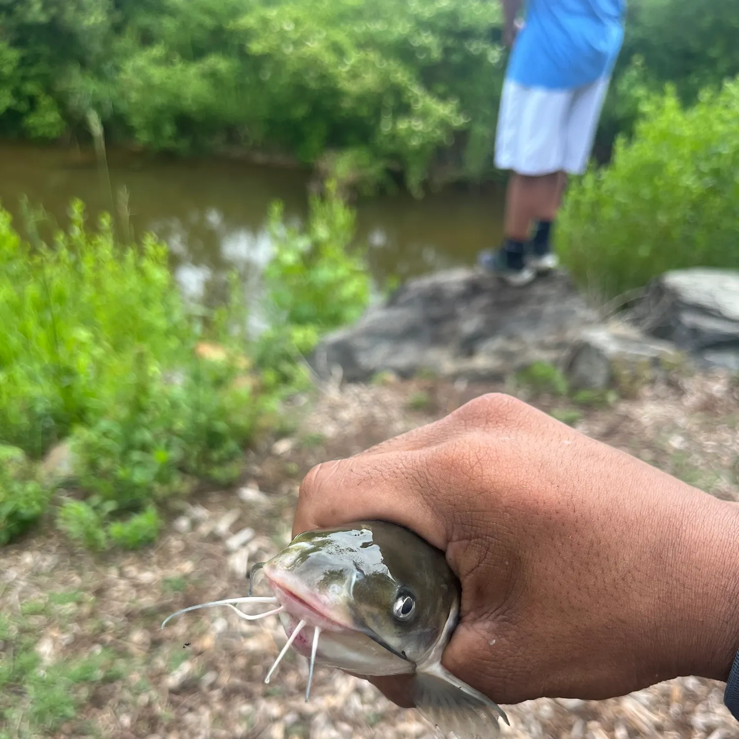 catch