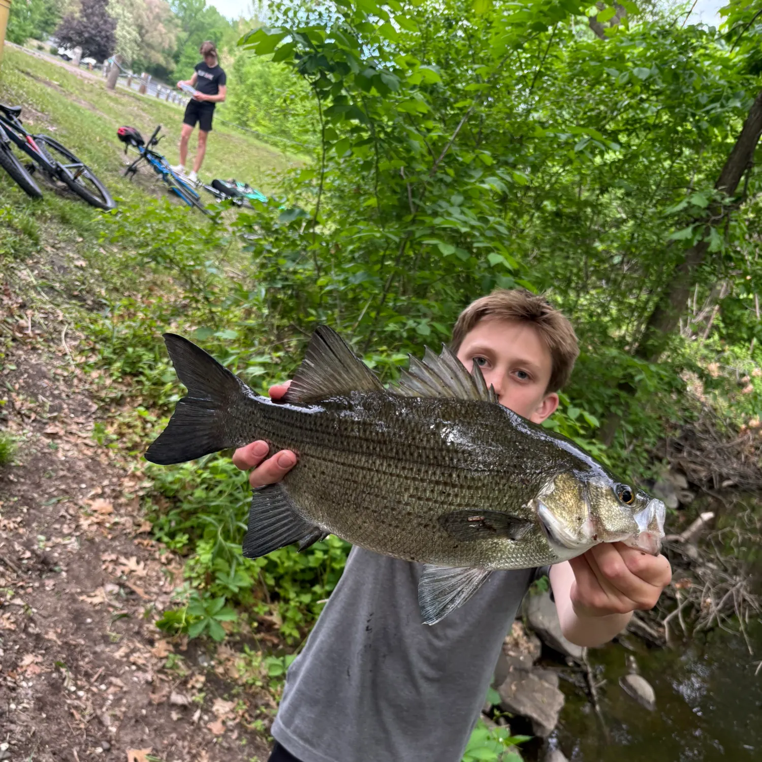 catch