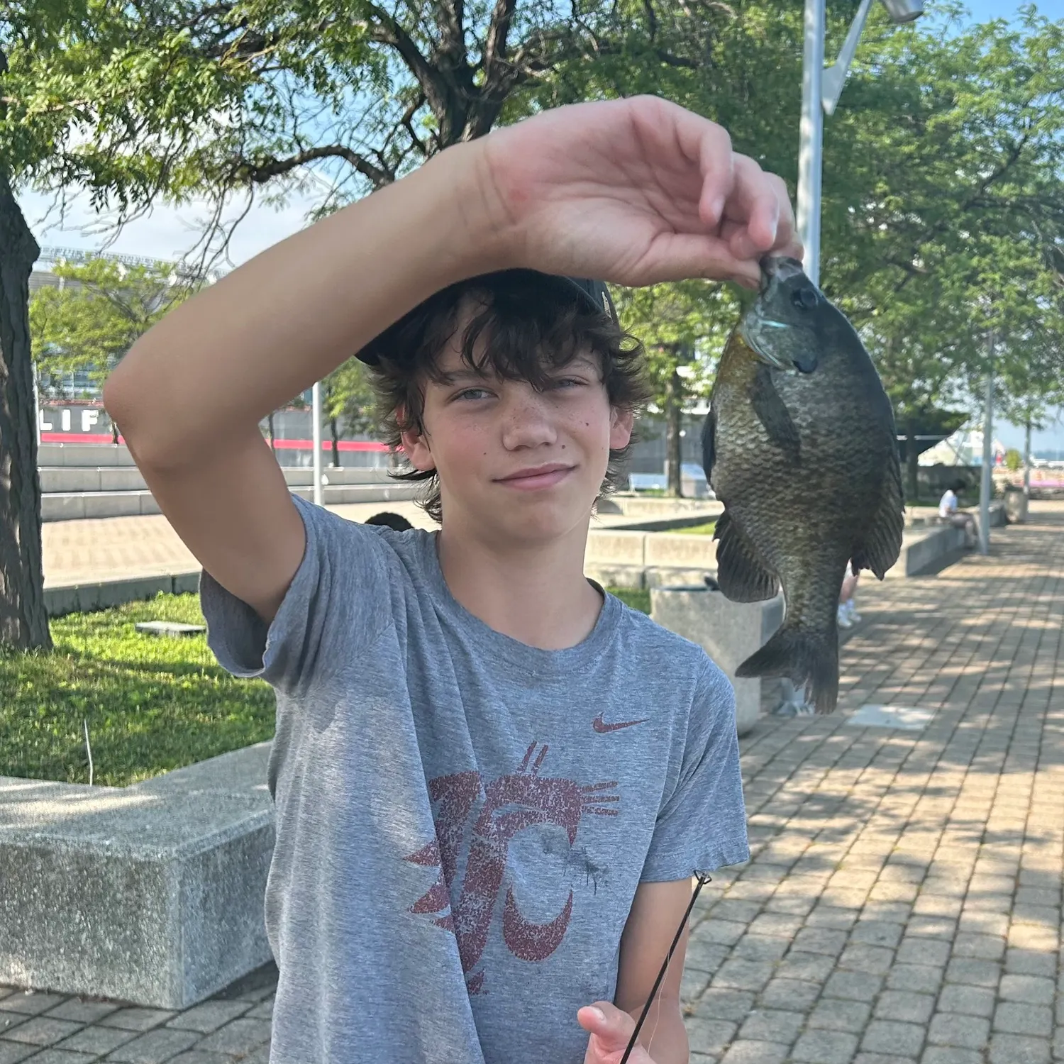 catch