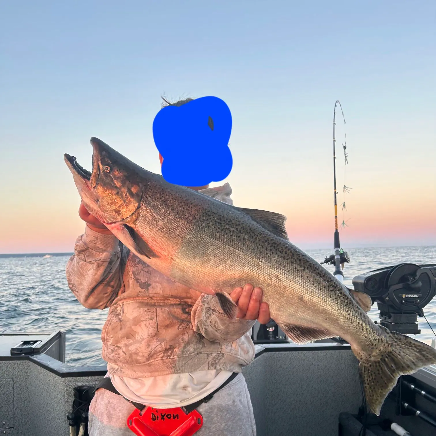 Chinook salmon caught on Fishbrain