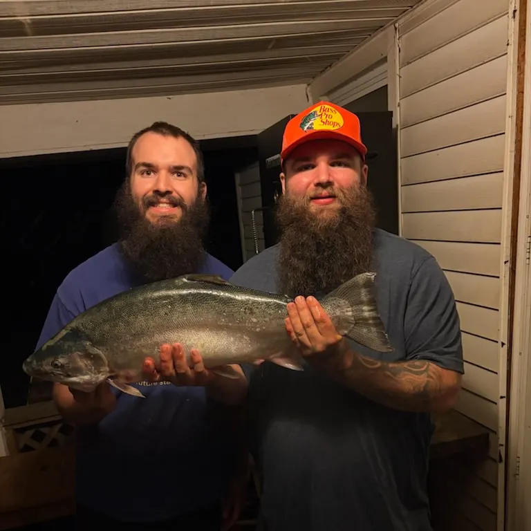 The most recent Coho salmon catches on Fishbrain