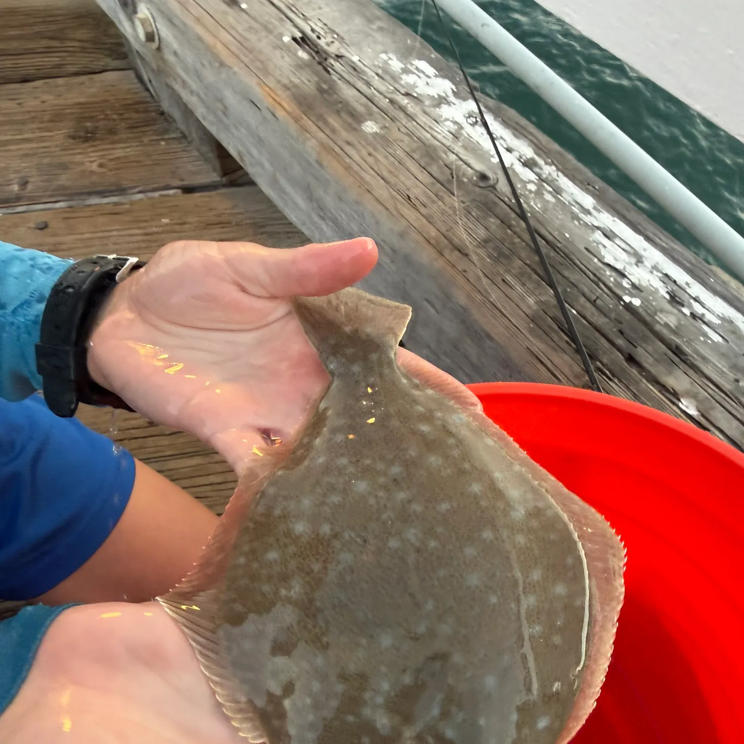 Diamond turbot caught on Fishbrain