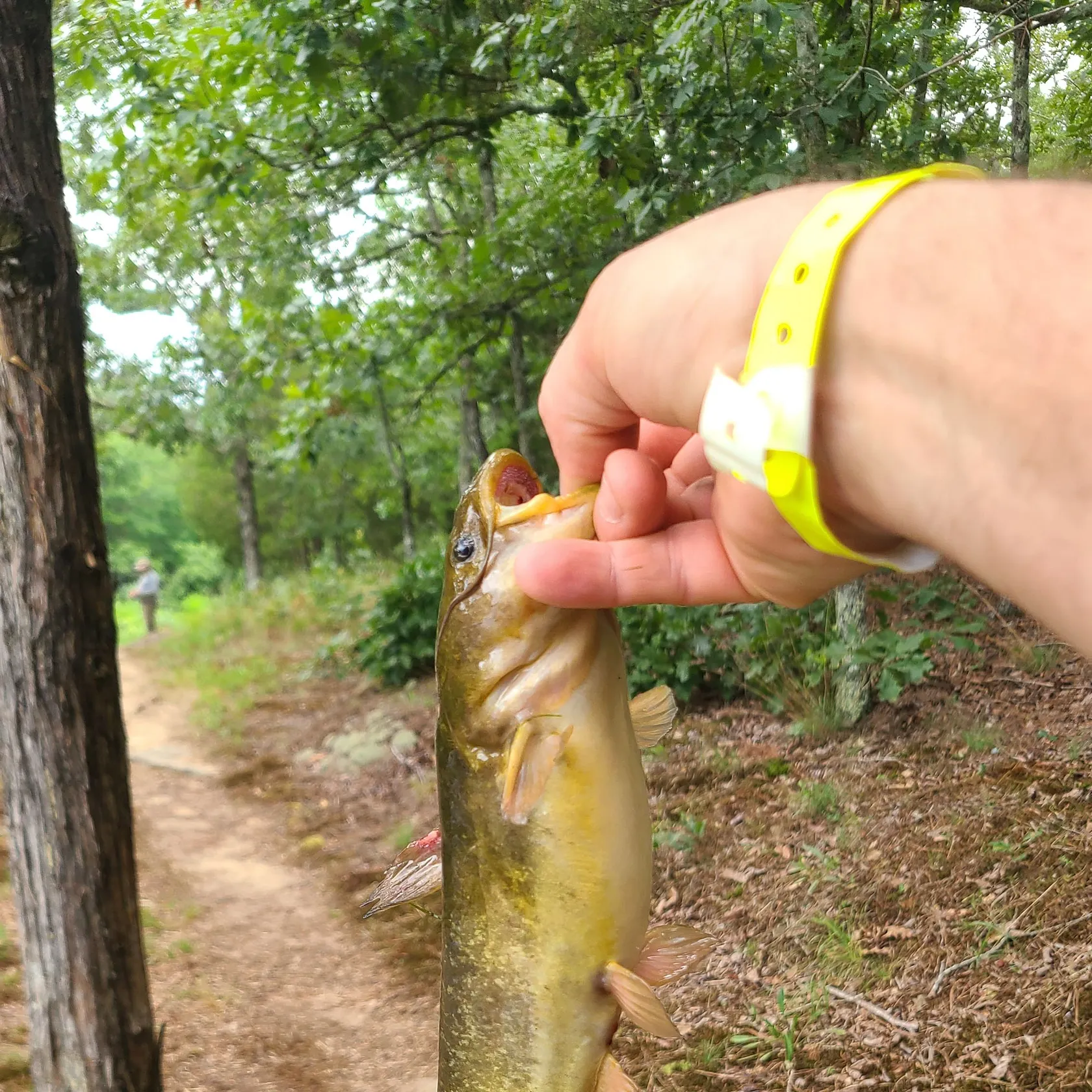 catch