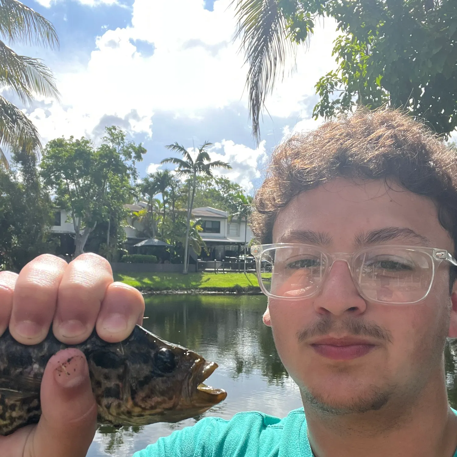 The most recent Jaguar cichlid catches on Fishbrain