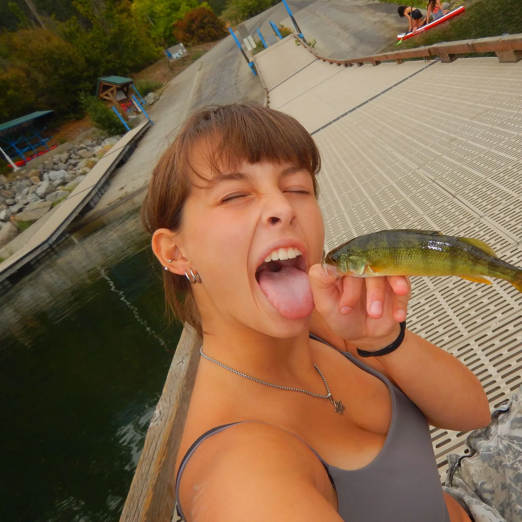 Yellow perch caught on Fishbrain