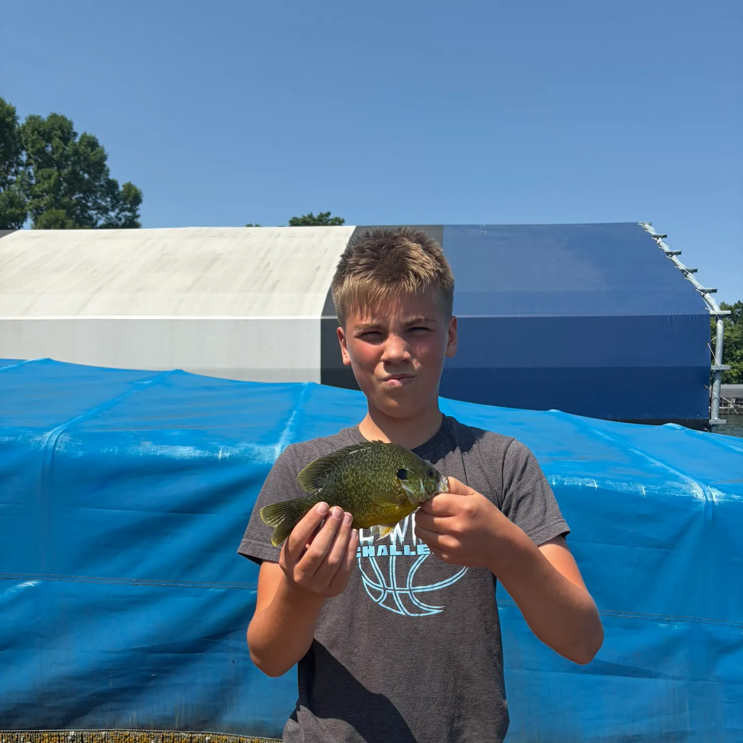 Pumpkinseed caught on Fishbrain