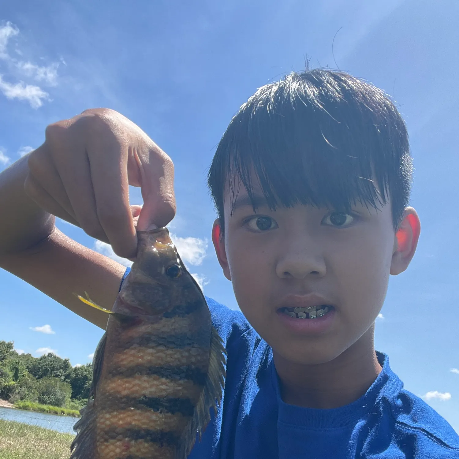 The most recent Mayan cichlid catches on Fishbrain