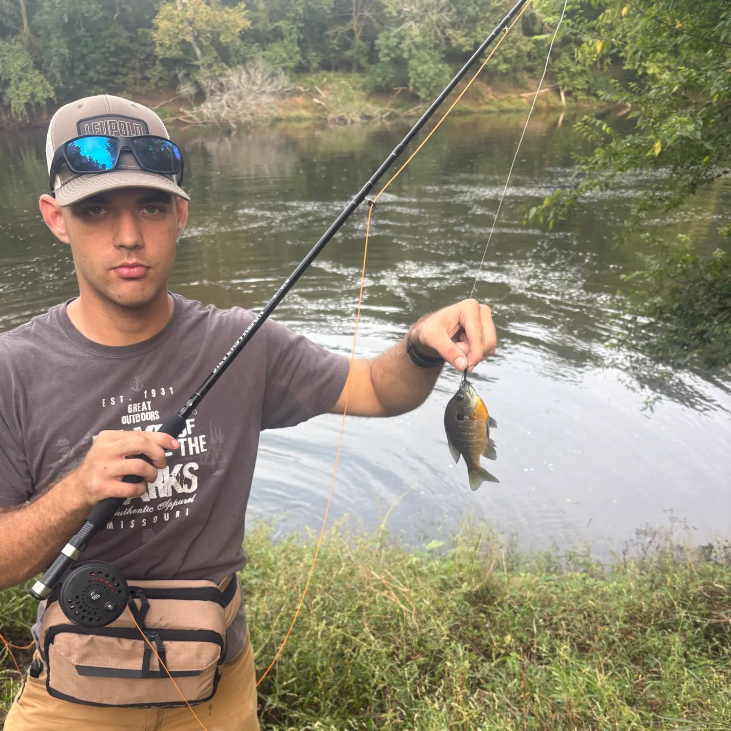 Bluegill caught on Fishbrain
