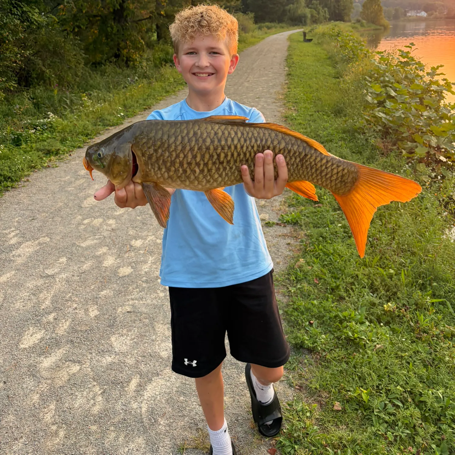 Common carp caught on Fishbrain