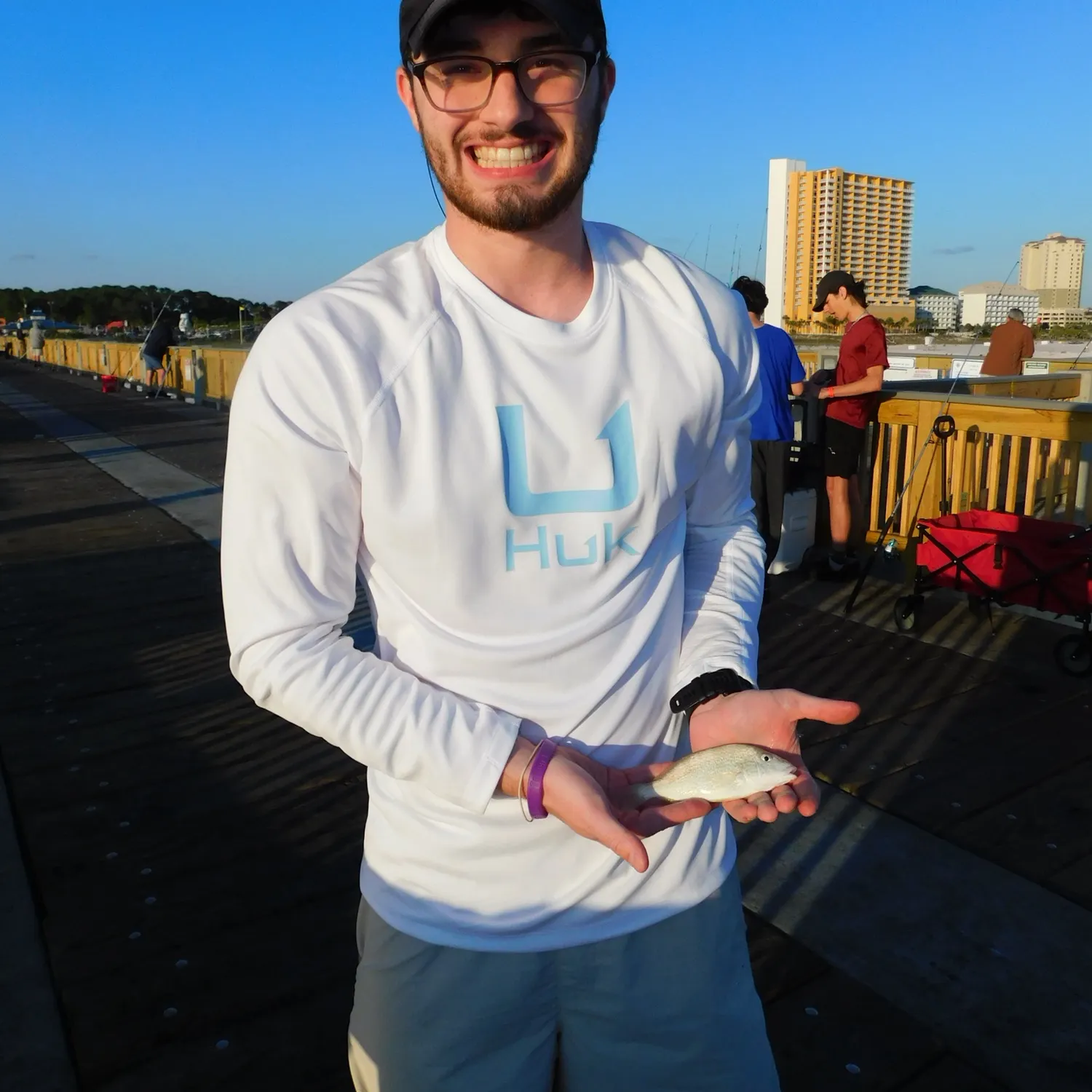 The most recent Pigfish catches on Fishbrain