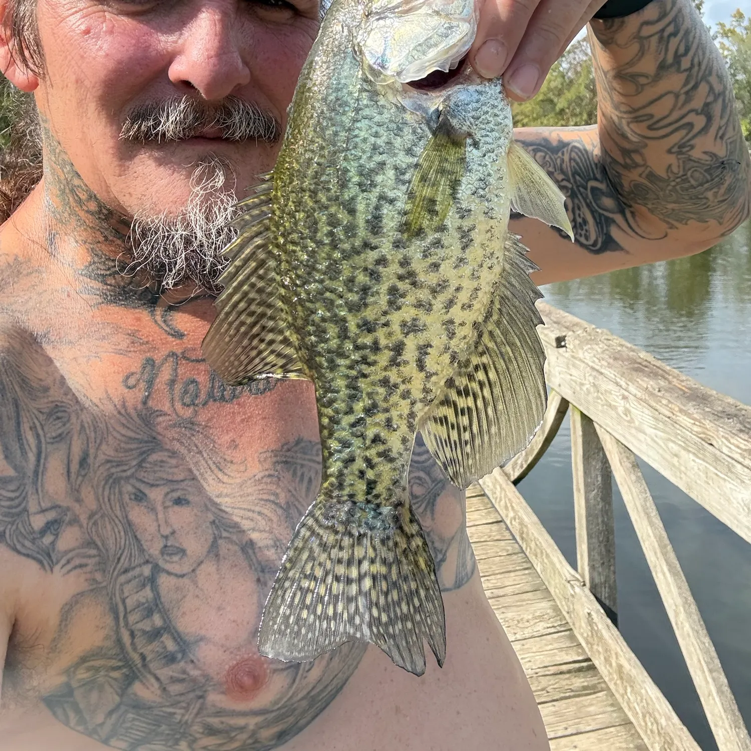 Black crappie caught on Fishbrain