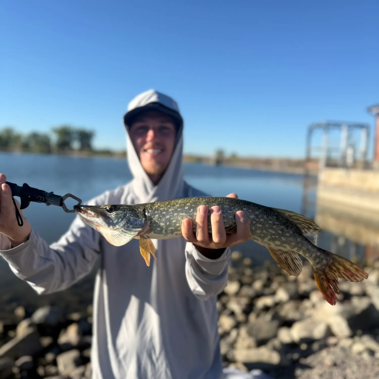 Northern pike caught on Fishbrain