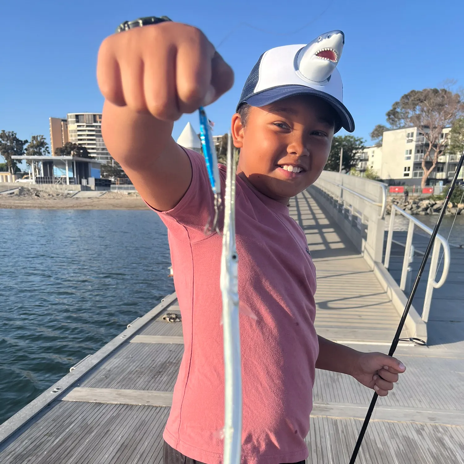 The most recent California needlefish catches on Fishbrain