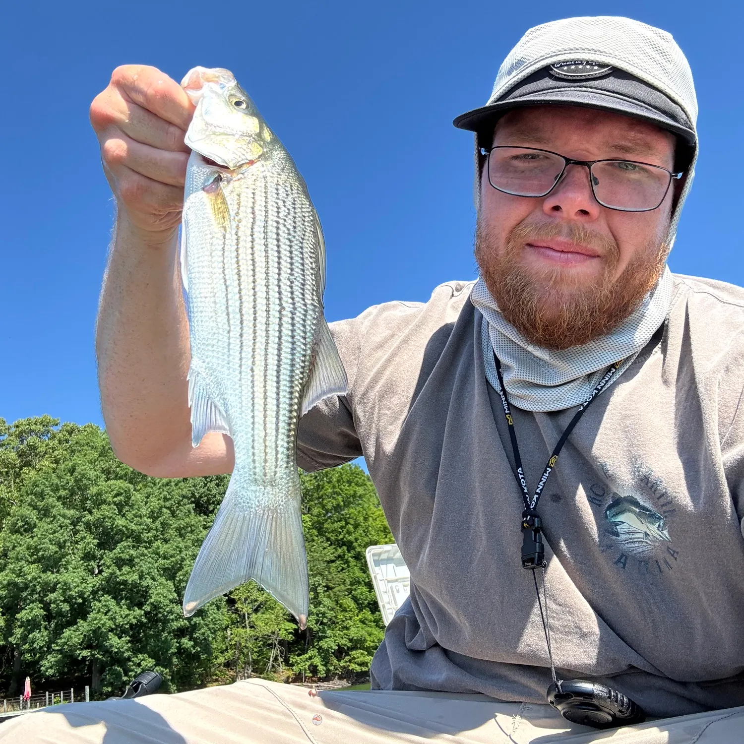 The most recent Striped bass catches on Fishbrain