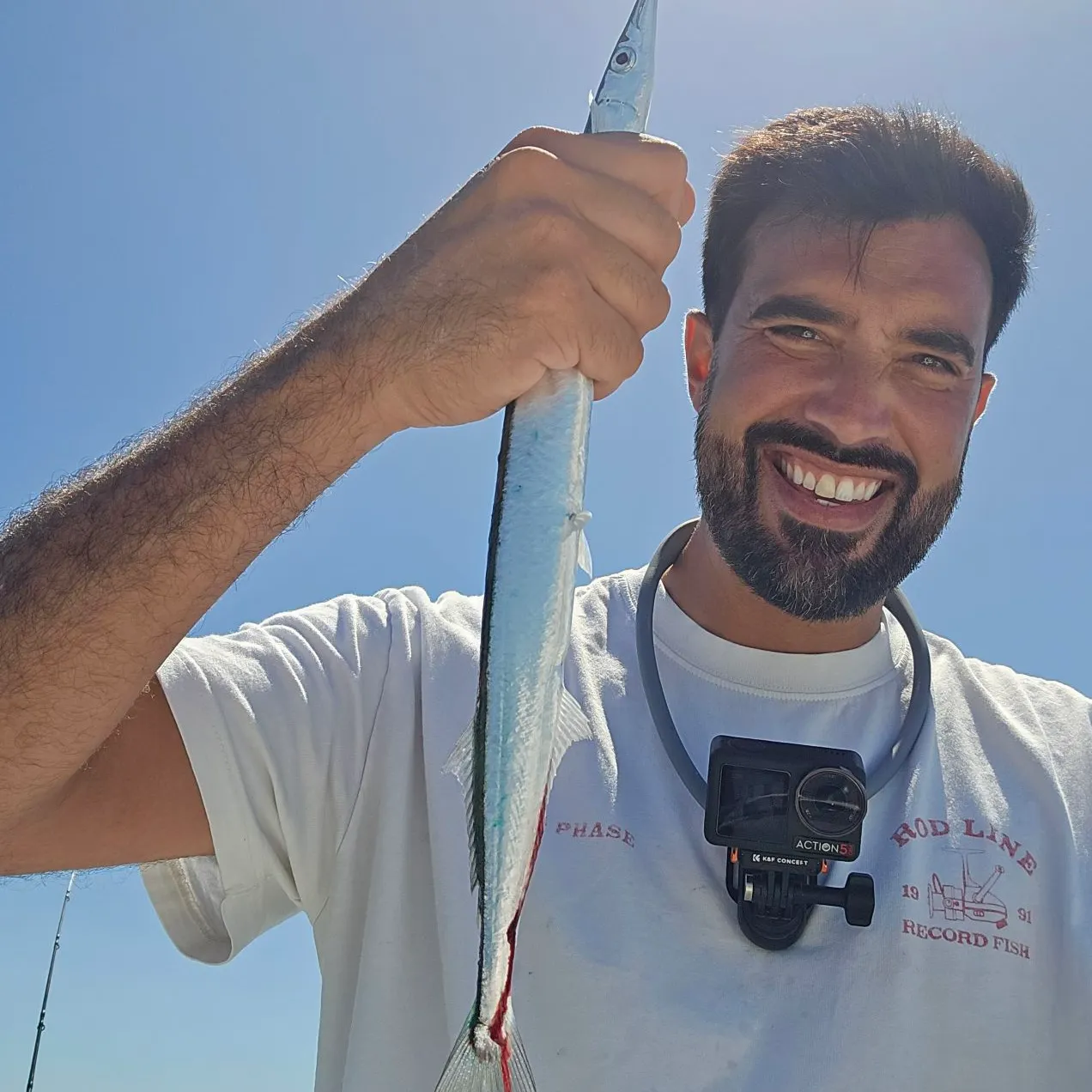 The most recent European garfish catches on Fishbrain