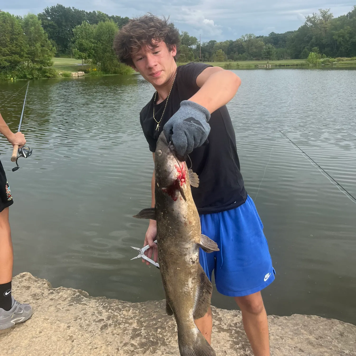 Channel catfish caught on Fishbrain