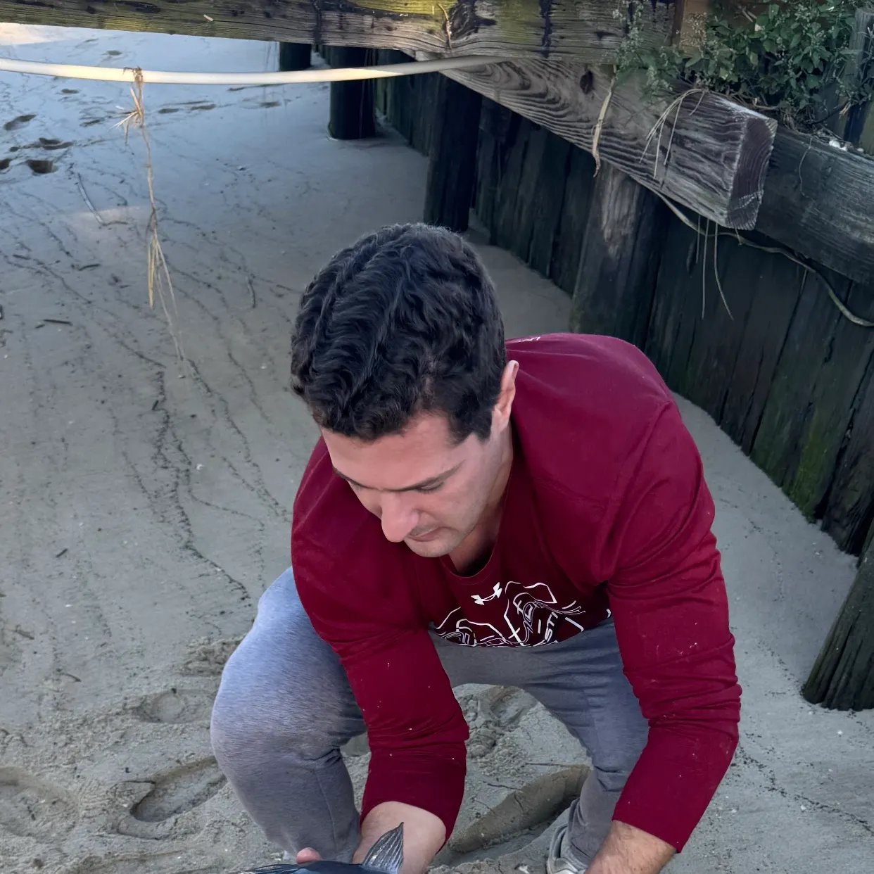 White bullhead caught on Fishbrain