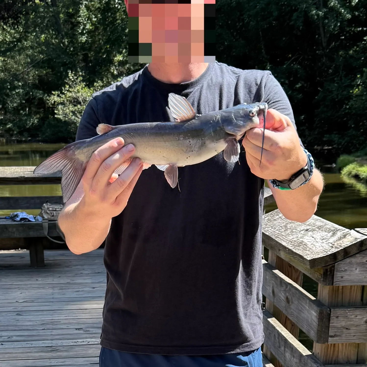 Channel catfish caught on Fishbrain